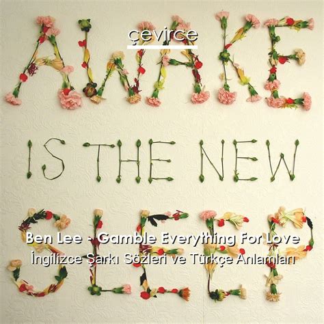 gamble everything for love lyrics|Ben Lee – Gamble Everything for Love Lyrics .